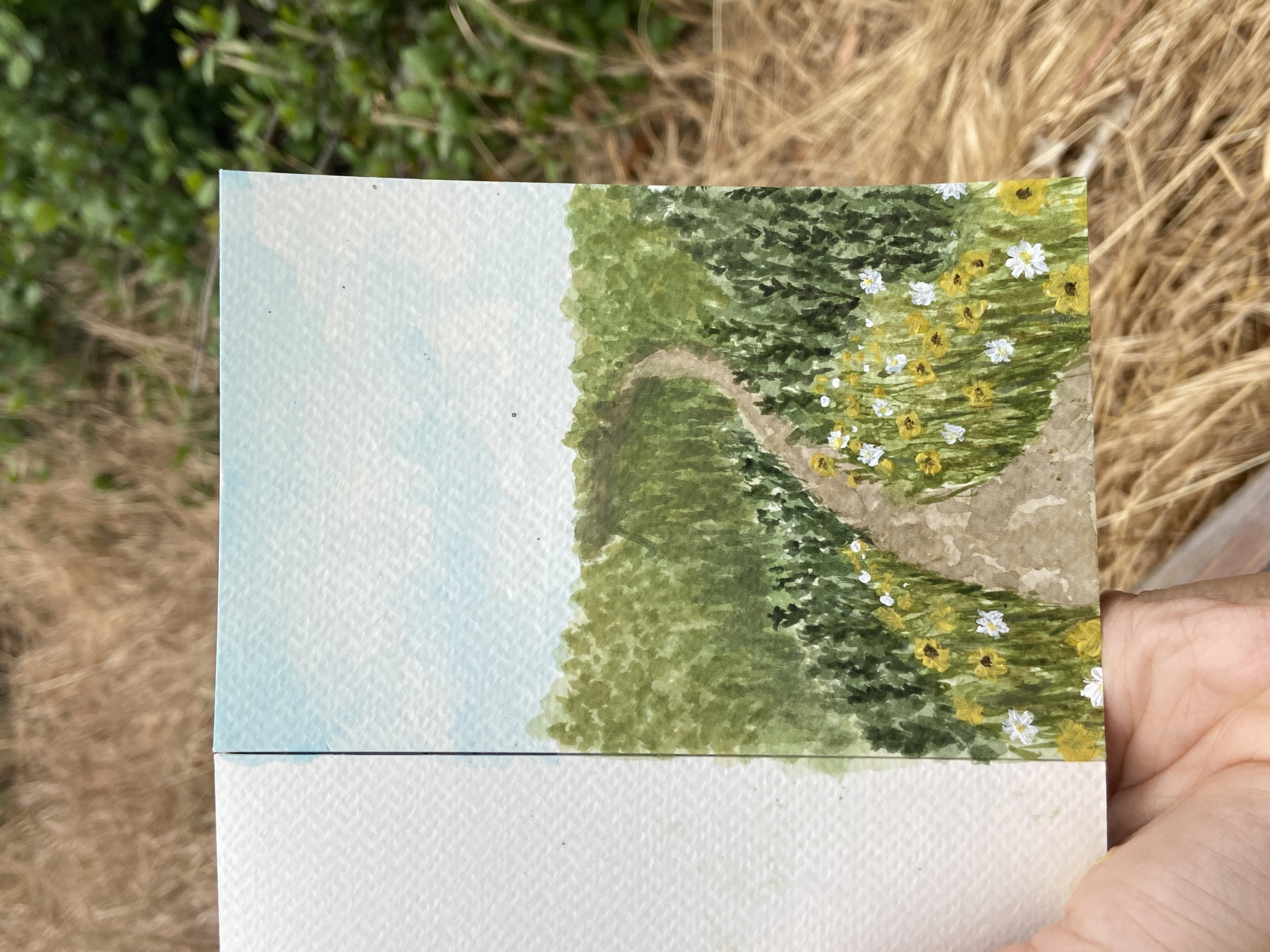 somewhere in san diego (plein air).JPG